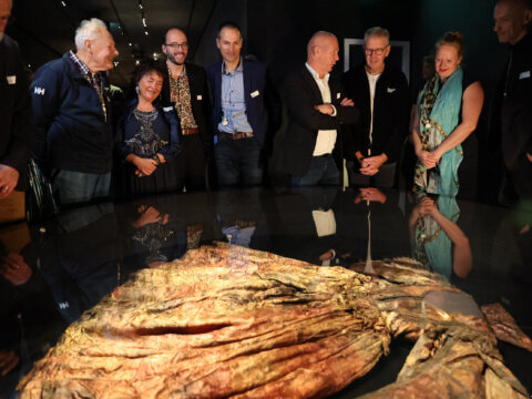 Opening Palmwood Wreck exhibition – Divers, deputy, conservator and other invitees
